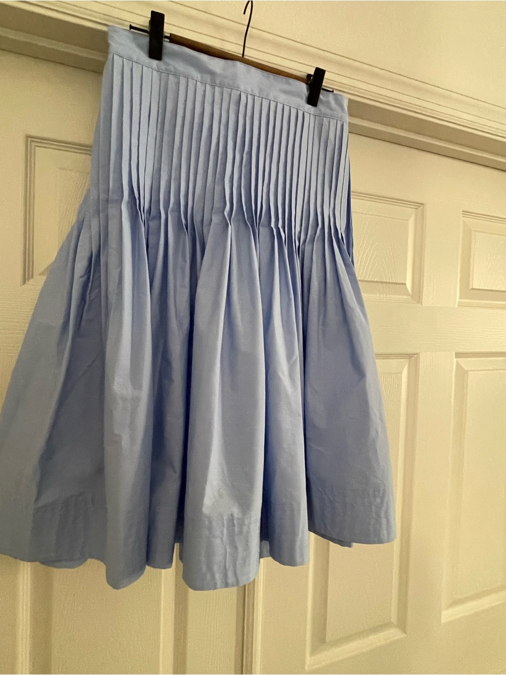 Pleated Light Blue A-Line Skirt